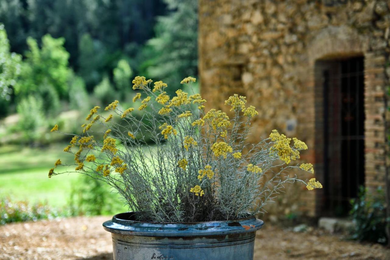 Les Jardins De Falguiere Saint-Jean-du-Gard Dış mekan fotoğraf