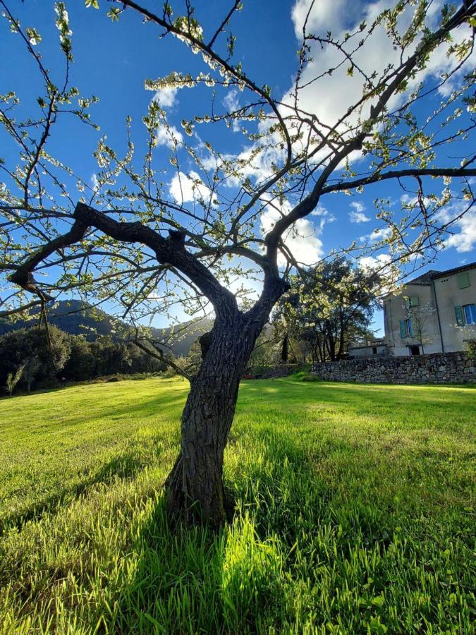 Les Jardins De Falguiere Saint-Jean-du-Gard Dış mekan fotoğraf