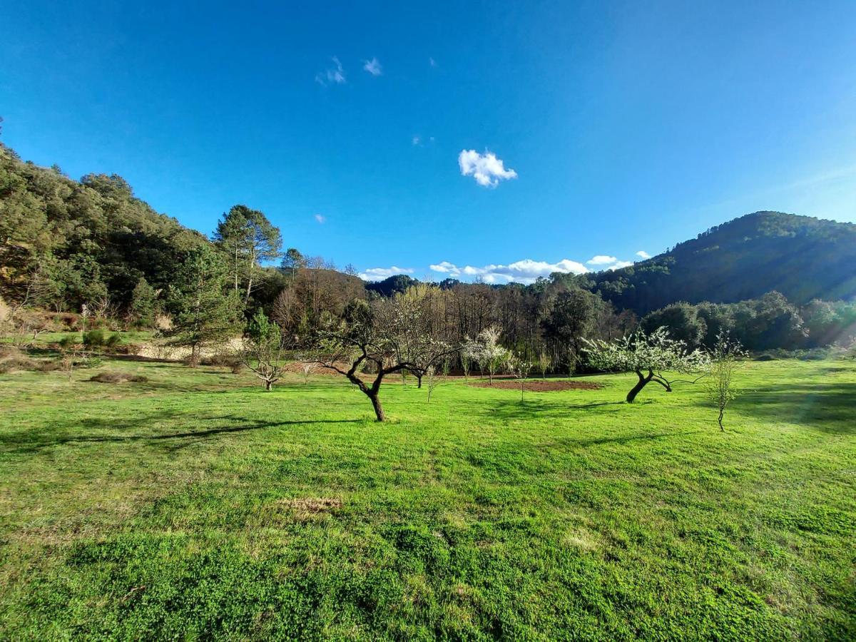 Les Jardins De Falguiere Saint-Jean-du-Gard Dış mekan fotoğraf