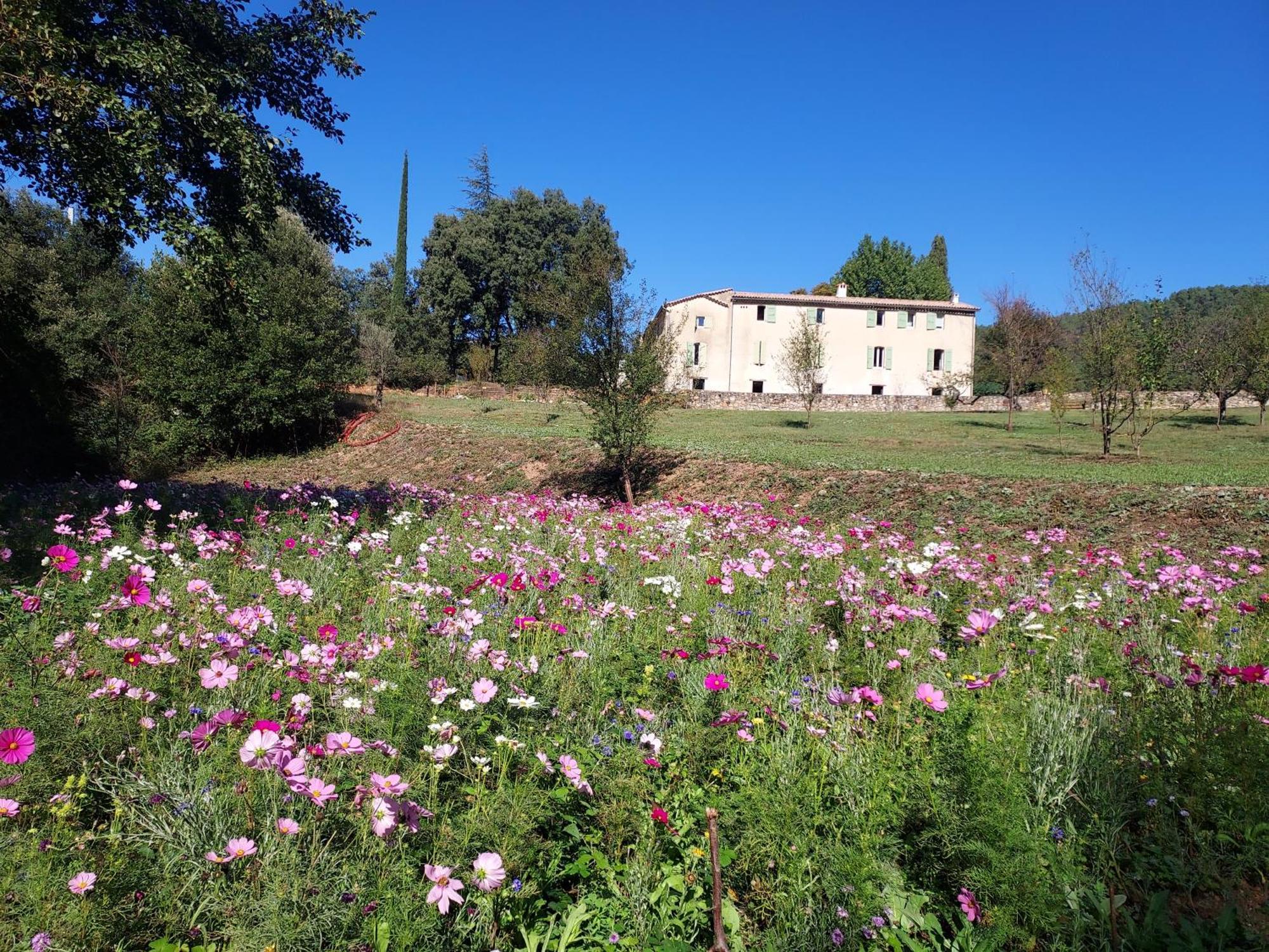 Les Jardins De Falguiere Saint-Jean-du-Gard Dış mekan fotoğraf