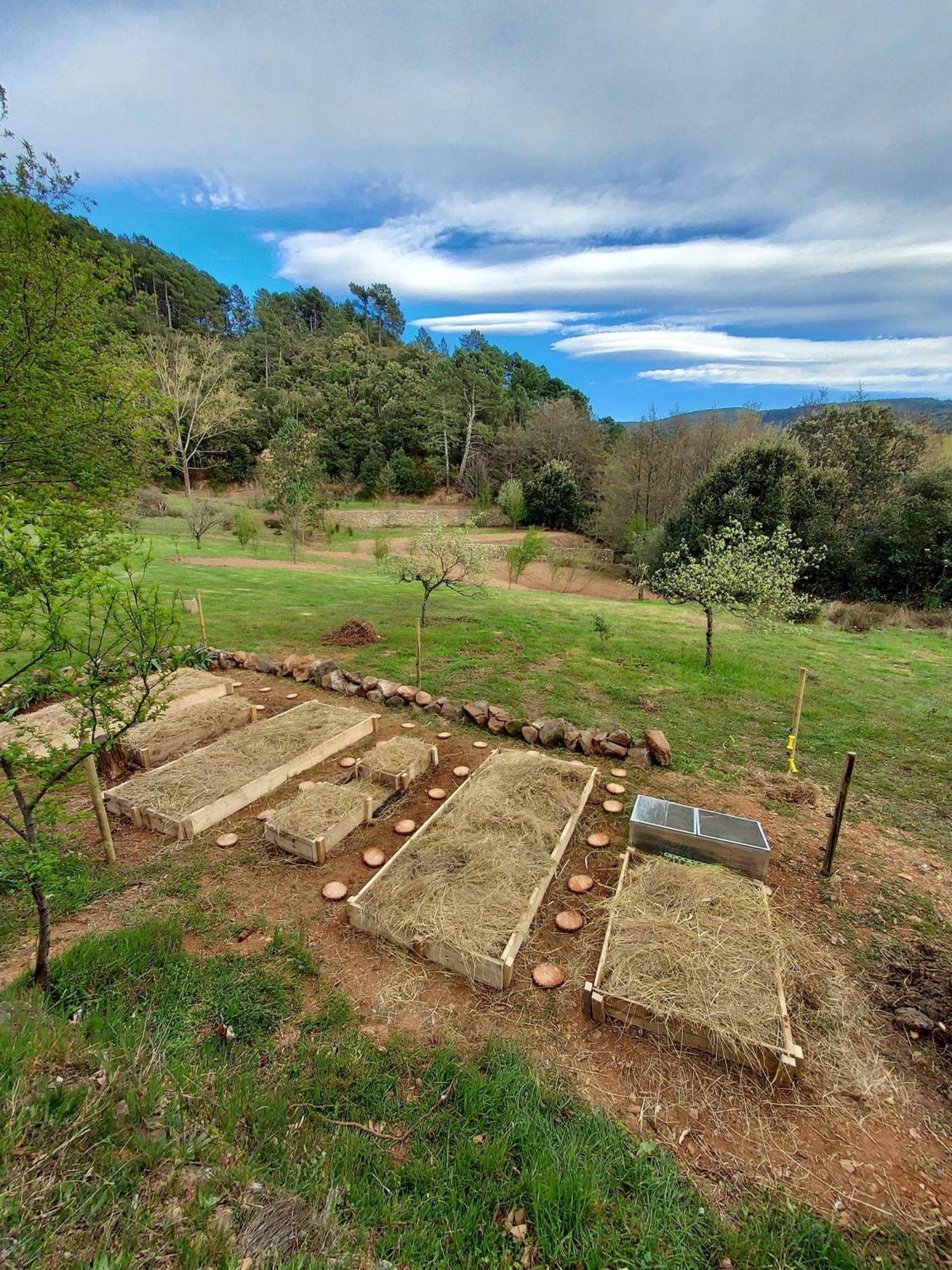 Les Jardins De Falguiere Saint-Jean-du-Gard Dış mekan fotoğraf
